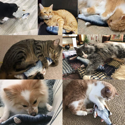 Cat Toys Flopping Fish with Catnip, Moving Cat Toy Interactive for Indoor Cats, Kitten Kicker Floppy Dog Toy, 11