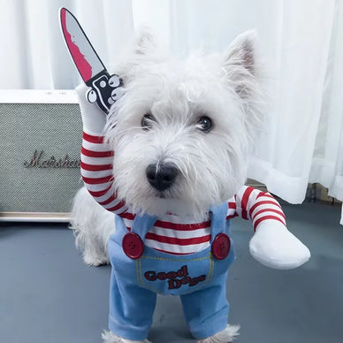 Transform Your Pet's Style and Lift Your Spirits!