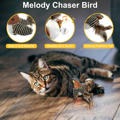 Unleash Joy and Energy in Every Pounce!